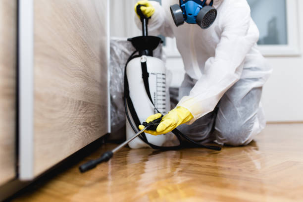 Insect Control in Shavertown, PA