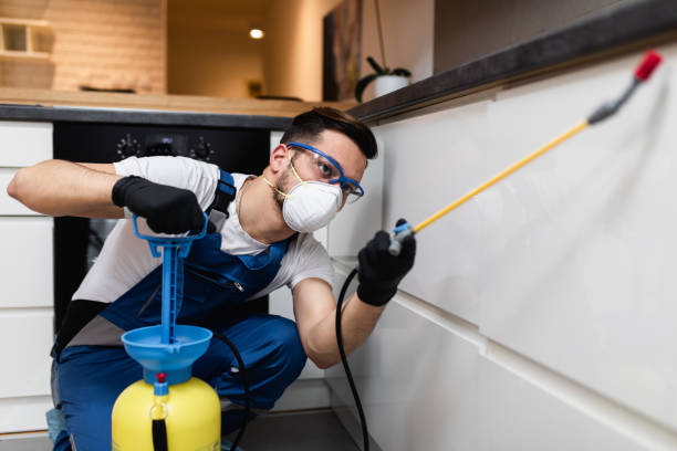 Best Residential Pest Control  in Shavertown, PA