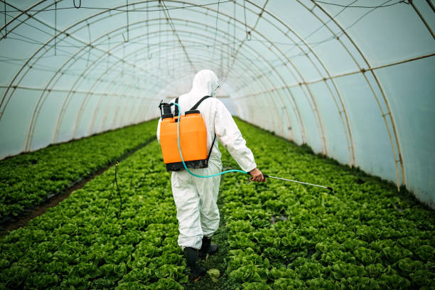 Best Pest Prevention Services  in Shavertown, PA