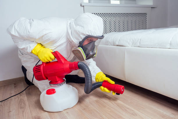 Best Termite Control Services  in Shavertown, PA