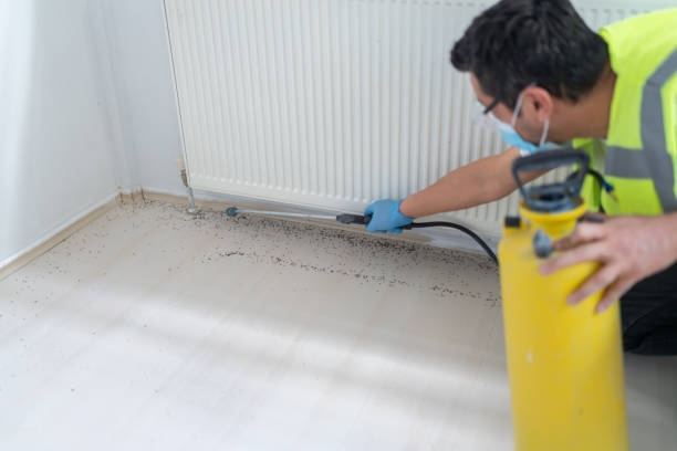Best Termite Control Services  in Shavertown, PA